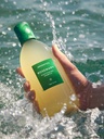 aro rosemary shampoo 400ml Image 4.jpeg