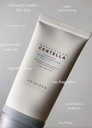 skin1004 hyalu cica spf dual Image 4.jpeg
